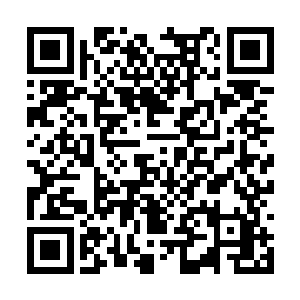 他不仅把凌桦全部小股东的股份买到了自己的手里二维码生成