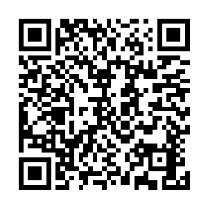 他不想因为自己的怯懦就放弃任何一次可以提升实力的机会二维码生成