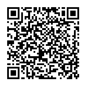 他也不希望自己的出手帮忙反而让他们失去了这么好的一个淬炼机会二维码生成