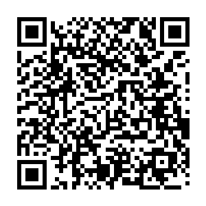 他也不知道最后赢了会提出什么妖孽般的条件来的……秦方虽然不认曲家二维码生成