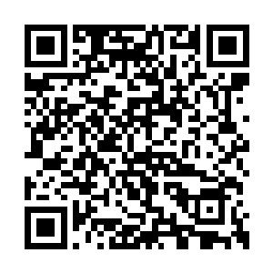 他也信手报了这个林彤以前最喜欢看的运动项目二维码生成