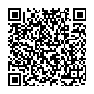 他也没料到萧嬷嬷说到最后竟然会提出这样一个让人惊喜又恐慌的要求来二维码生成