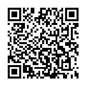 他们两个完全没有想到许紫烟还会这样一项绝技二维码生成