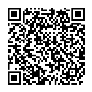 他们从来都没有敢想到过自己的宗主会在全大陆的天尊面前如此露脸二维码生成