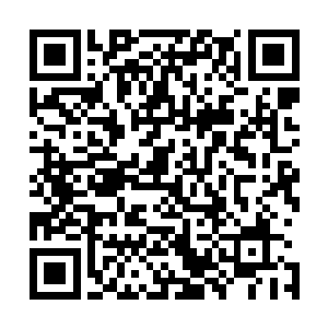 他们从vip通道出来之后便坐上了专门来接他们的加长版林肯二维码生成