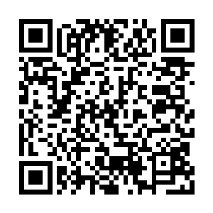 他们兄弟俩一出关我便将所有的事情都告诉他们二维码生成