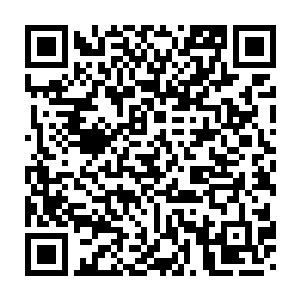 他们到了一定的火候后在大脖子枕骨大孔那个位置附近会增生出一根二维码生成