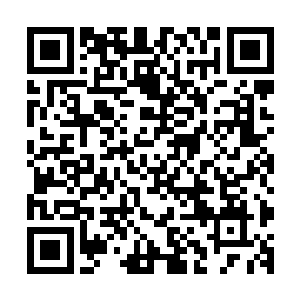 他们和联合国世界卫生组织合作成立的世界疾病分类合作中心二维码生成