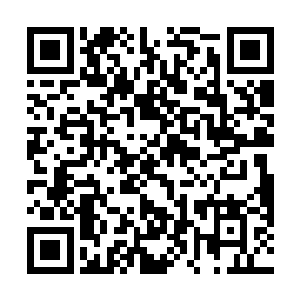 他们就会转身去把东西捡起来继续再扔到涛声的木桶里二维码生成