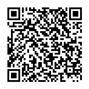 他们已经有点担心万一这个叫做黑炭的人晋升到圣徒层会引起什么样的震荡二维码生成