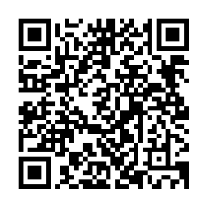 他们很可能要对完颜斜保所指挥的这支哀兵展开一次局部的决战二维码生成