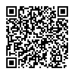 他们明明是因为你故意冲击凤聚仙山的第一层防护阵才会出现在这里的二维码生成