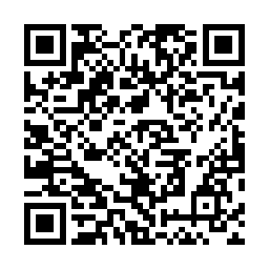 他们是实实在在从最微小最卑微的状态一点点成长起来的二维码生成