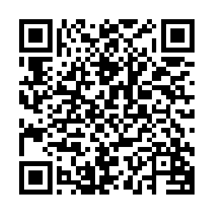 他们来问道宗那可是信心满满的要将整个问道宗彻底的剿灭的二维码生成