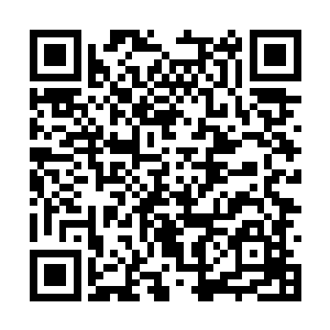 他们正准备商量好了以后在让叶秋去和武术协会谈二维码生成