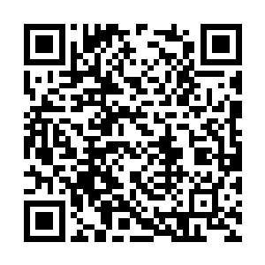 他们没有用在会客厅两边排成两排的黄花梨木椅子二维码生成