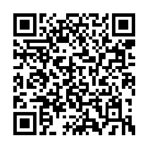 他们的脑海中忽然将正在围攻西南联盟的金属人二维码生成