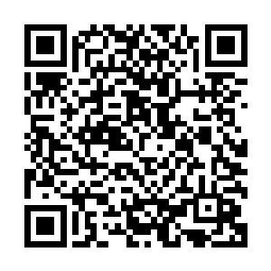 他们绝对可以在短时间击败剩下的九名雷行一族大罗金仙修士二维码生成