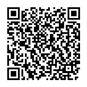 他们肯定也存在着思维误区――几十万军队和所有强者都集结在这里二维码生成