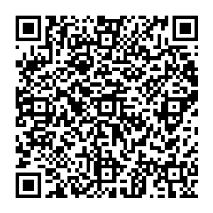 他们都不明白为什么在几天前还对许紫烟表现出来厌恶的萧锦会对许紫烟表现出来如此地尊重二维码生成