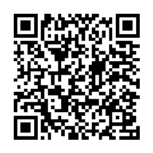 他们都已经做好了分化接收许紫烟他们四块大陆修士的准备二维码生成