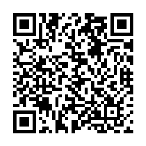 他几乎把市里边的工作全权委托给了董建伟和金国忠二维码生成