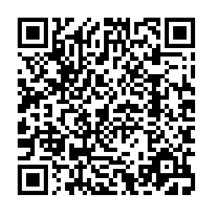 他几乎是被秦方一掌打飞出去的……然后重重的撞在了山谷边缘的石壁上二维码生成