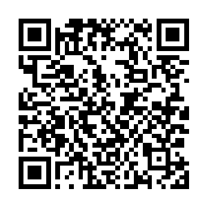 他却紧咬着牙握着被分成无数份的金箍棒一动不动地呆着二维码生成