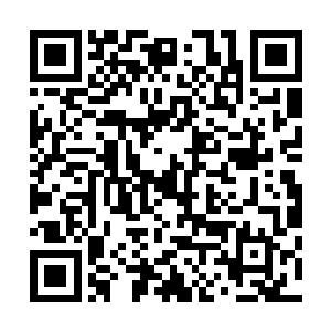 他只搜出了二十几颗魔核以及总数量将近百枚紫金币的金钱二维码生成