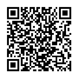 他只能再次抽出一根战矛狠狠地刺进了另外一头战象的耳根处二维码生成