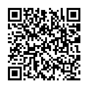 他可没想到柳逸尘会真的当着这么多人的面打自己二维码生成