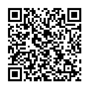 他对面的那个一米八几的汉子也退后了几步才勉强站稳了二维码生成