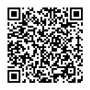 他已经很长时间没遇到像杜海琼这样既性感漂亮还透着一丝纯真的女孩子二维码生成