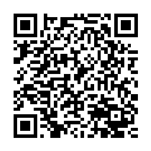 他应该算是lcd战队五名首发队员中最没有地位和发言权的那一个二维码生成