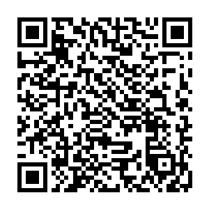 他当初娶金氏是为了救命之恩或者说为了金家那点家底供他读书科考拉拢人脉二维码生成