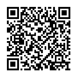 他曾经以为无比真实的一切却仅仅只是一个谎言二维码生成