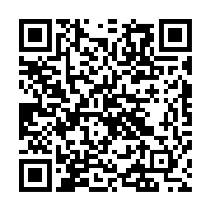 他的离子通道实验室的目标就是冲着人体基因组计划进行的二维码生成