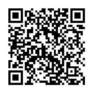 他突然发现那个叫做苏玛的医生没有跟着阿里一起过来二维码生成