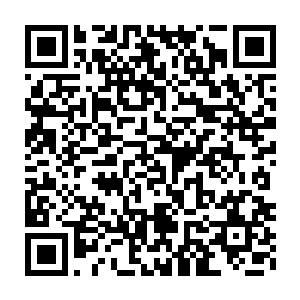 他至今还未从吴岩已是筑基中期的修士这件震惊的事实之中醒悟过来二维码生成