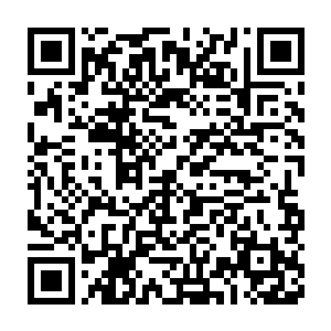 他通过这数十场对战尽情地展露了自己难以想象的剑道天赋与才华二维码生成