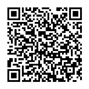 他需要通过以色列情报组传回的信息和这些反抗军的情报做以对比二维码生成