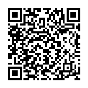 他马上就想起了春节时在仲枫阳家里那个给仲枫阳拜年的情景二维码生成