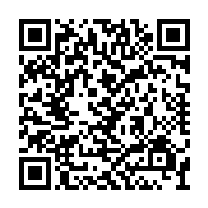 仙农洞府的存在是我们玄黄大陆修士的一个机缘二维码生成