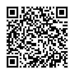 以及周围的一些地域都在将要建造的侏罗纪公园的范围之内二维码生成