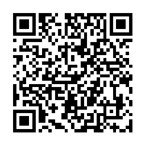 以快准狠的力道隔着内||裤抚摸起了那片熟悉的领域二维码生成