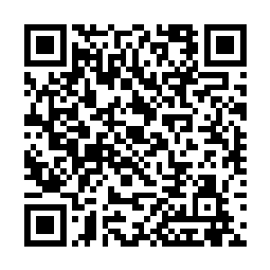 以至于现在只有看到尸体才能让他的心真正安静下来二维码生成