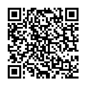 以阿克琉蒂斯的性格绝对不会在这种场合动真格的……退一万步二维码生成