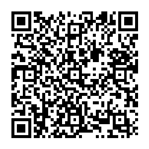 以风鹤为首的六个百草峰的弟子立刻双手抱头蹲在了地上做出了一个任你们打的姿态二维码生成