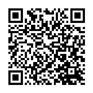 任何修为达到通玄境界以上的修士进城都会引起禁制反击二维码生成