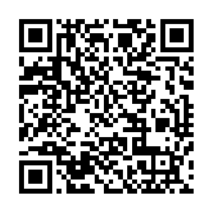 任何黑甲围绕在她的身边执行任何的任务都绝对的毫无怨言二维码生成